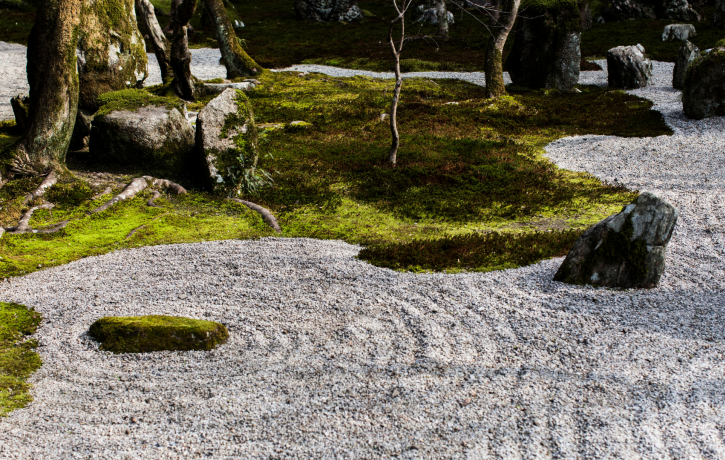 Zen Garten mit Muster im Kies, Steinen, Moos und Bäumen